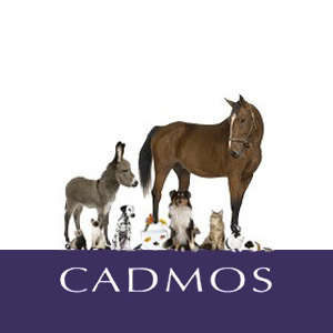 Publisher: Cadmos Verlag