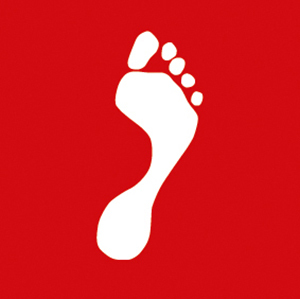 Publisher: Footprint Handbooks