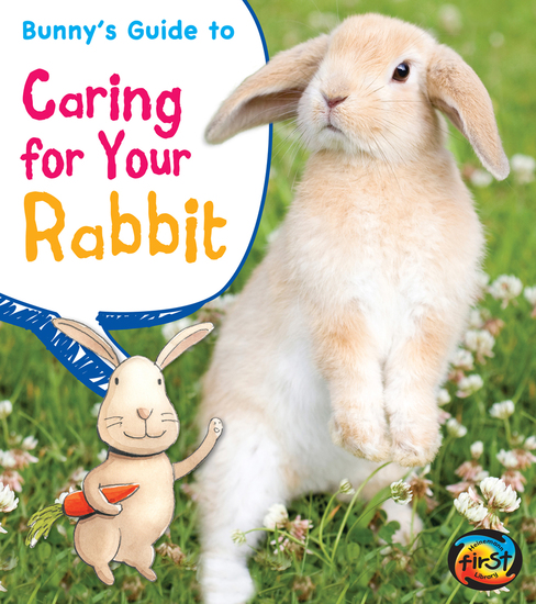 Essay On Caring For Pets