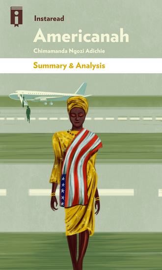 Americanah - by Chimamanda Ngozi Adichie | Summary & Analysis - cover