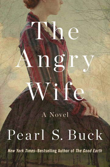 The Angry Wife - A Novel - cover