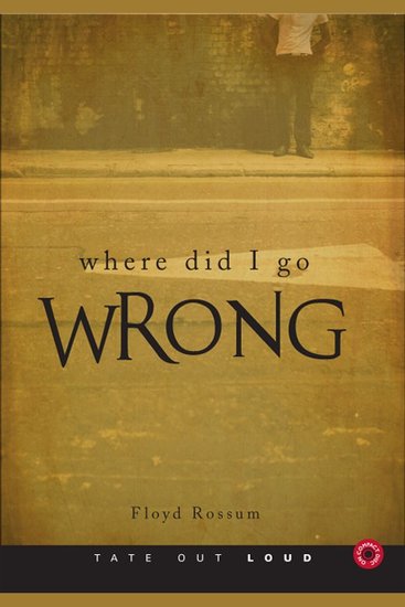 Where Did I Go Wrong? - cover