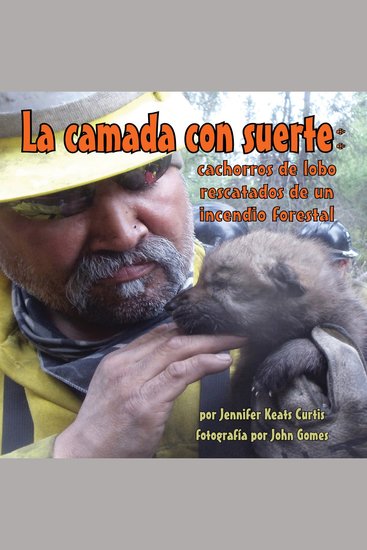 La camada con suerte - cachorros de lobo rescatados de un incendio forestal - cover