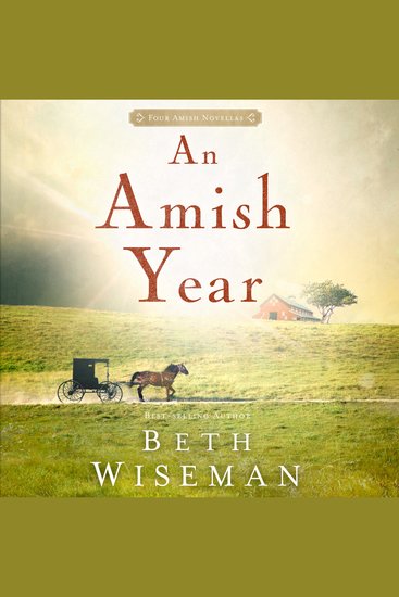 Amish Year An - Four Amish Novellas - cover