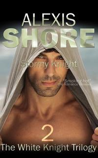 Stormy Knight - The White Knight Trilogy #2