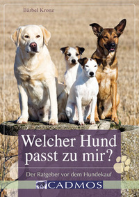 Welcher Hund passt zu mir? - Der Ratgeber vor dem Hundekauf