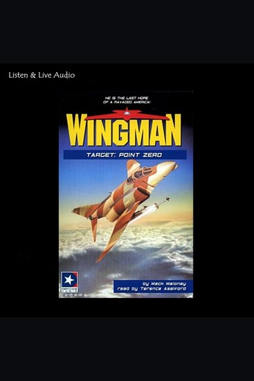 Wingman #12 - Target: Point Zero - cover