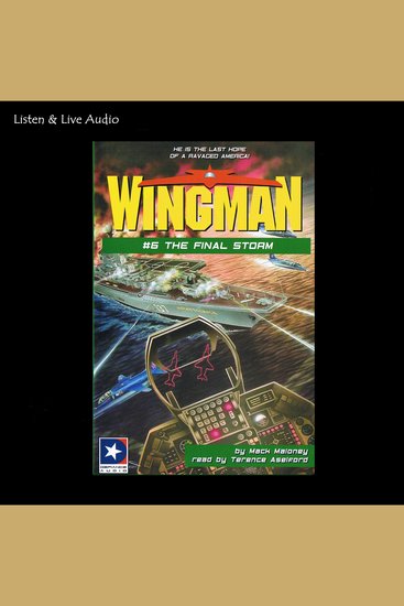 Wingman #6 - The Final Storm - cover