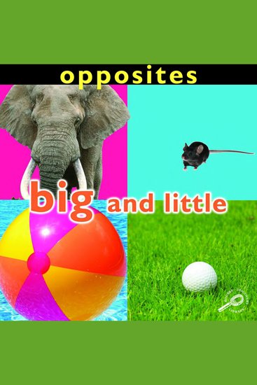 Opposites: Big and Little - cover