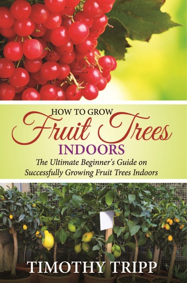 How To Grow Fruit Trees Indoors The Ultimate Beginner s Guide On 