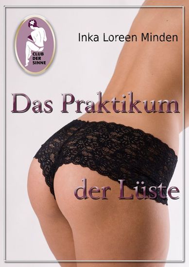 Das Praktikum der Lüste - cover