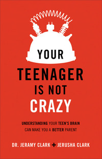 Your Teenager Is Not Crazy - Understanding Your Teen's Brain Can Make You a Better Parent