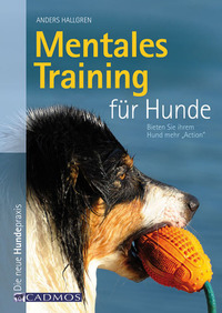 Mentales Training für Hunde - Bieten Sie Ihrem Hund mehr "Action"