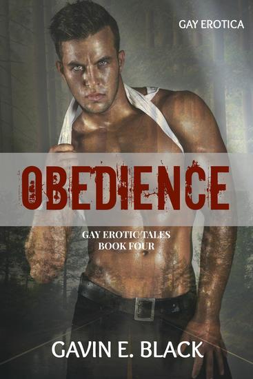 Roadside Distraction - Gay Erotic Tales #4 - cover
