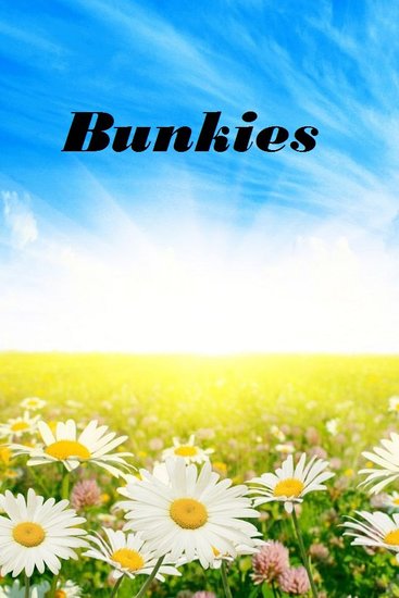 Bunkies - cover