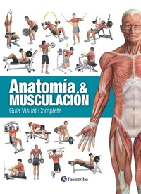 ANATOMÍA & MUSCULACIÓN - Guía visual completa