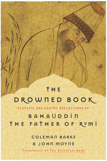The Drowned Book - cover
