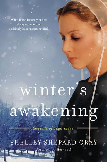 Winter's Awakening - Seasons of Sugarcreek Book One - cover