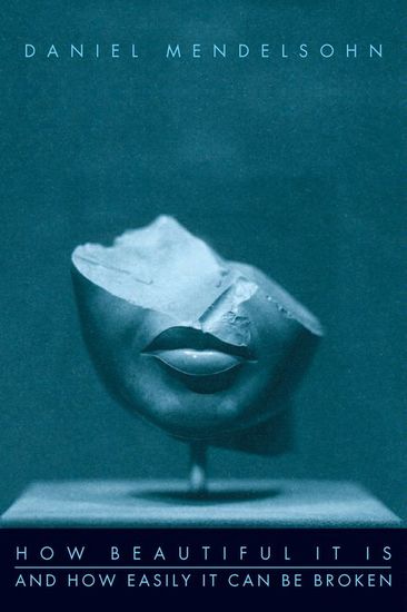 How Beautiful It Is And How Easily It Can Be Broken - Essays - cover