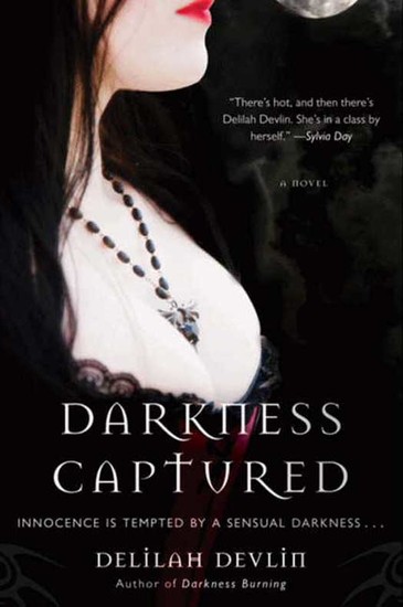 Darkness Captured - A Novel - cover