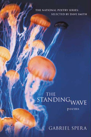 The Standing Wave - Poems - cover