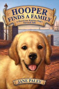 Hooper Finds a Family - A Hurricane Katrina Dog's Survival Tale