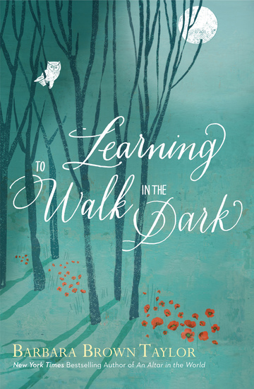 Learning to Walk in the Dark - cover