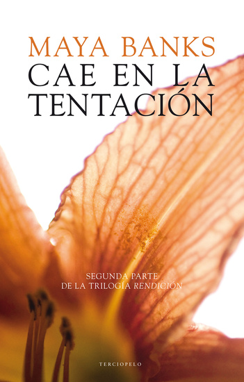 Cae en la tentación - cover