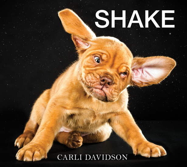 Shake - cover