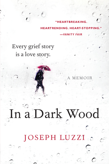 In a Dark Wood - What Dante Taught Me About Grief Healing and the Mysteries of Love - cover