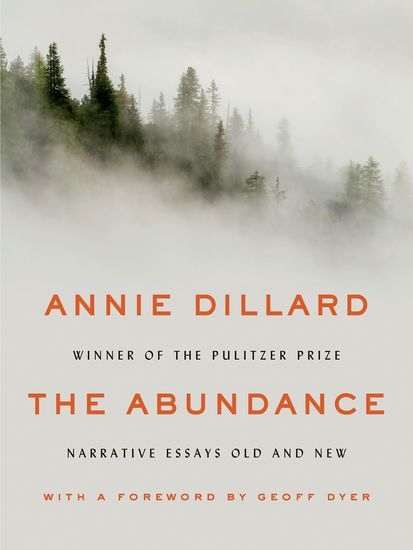 The Abundance - Narrative Essays Old and New - cover