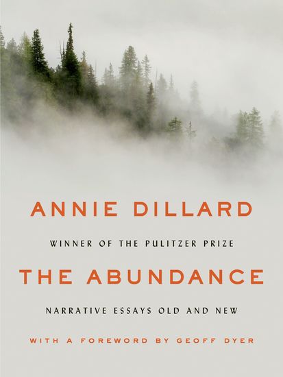 The Abundance - Narrative Essays Old and New - cover