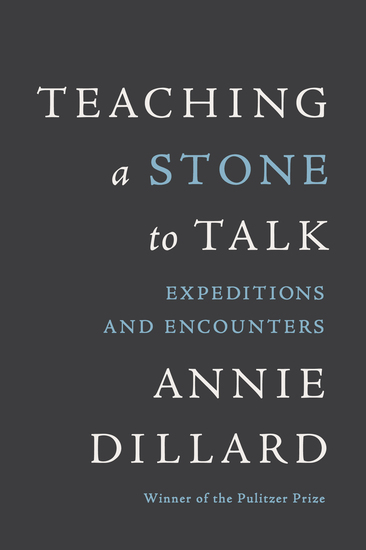 Teaching a Stone to Talk - Expeditions and Encounters - cover
