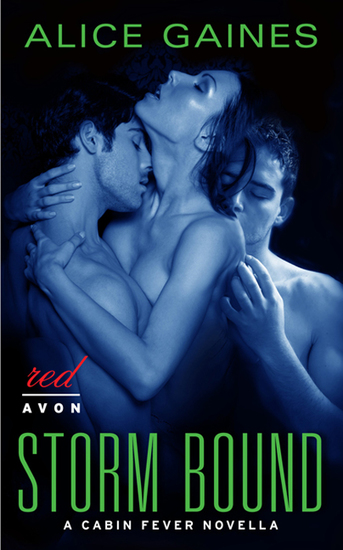 Storm Bound - A Cabin Fever Novella - cover