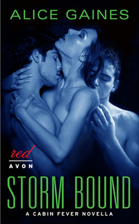 Storm Bound - A Cabin Fever Novella
