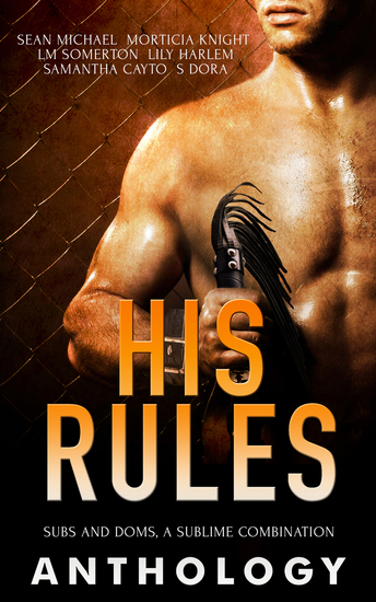 His Rules - cover