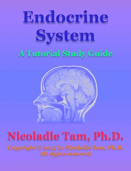 Endocrine System: A Tutorial Study Guide - cover