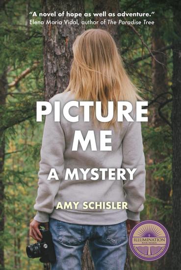 Picture Me A Mystery - cover