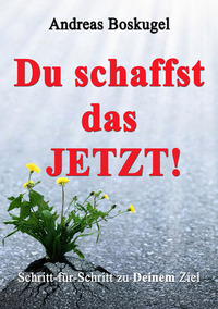 DU schaffst das JETZT! - Schritt-für-Schritt zu Deinem Ziel