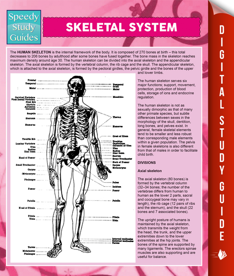 Skeletal System - Speedy Study Guides - cover