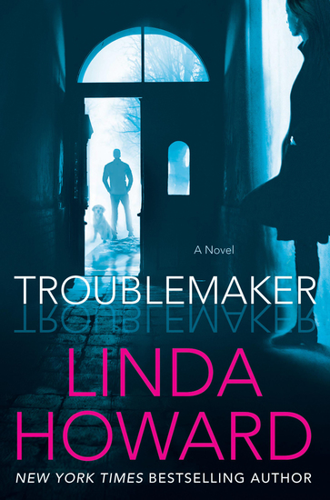 Troublemaker - A Novel - cover