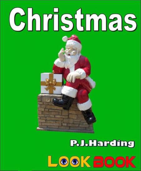 Christmas - A LOOK BOOK Easy Reader - cover