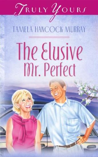 Elusive Mr Perfect - cover