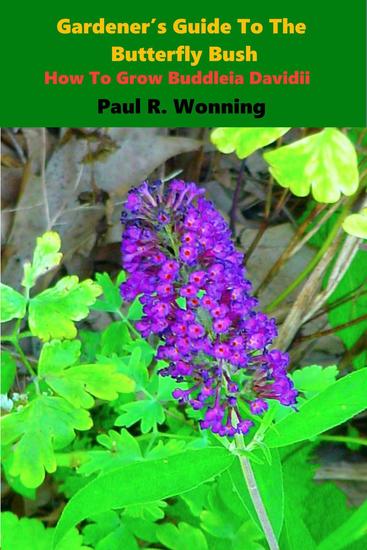 Gardener S Guide To The Butterfly Bush Abe S Guide To The Full Sun Perennial Flower Garden 7 Read Book Online