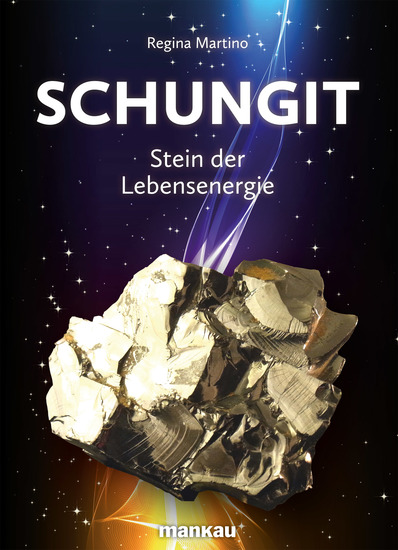 Schungit - Stein der Lebensenergie - cover