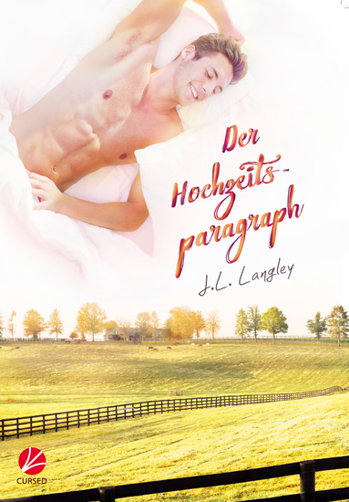 Der Hochzeitsparagraph - cover