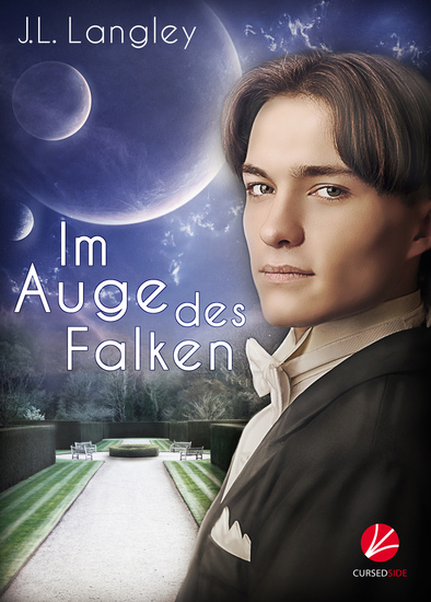 Im Auge des Falken - cover