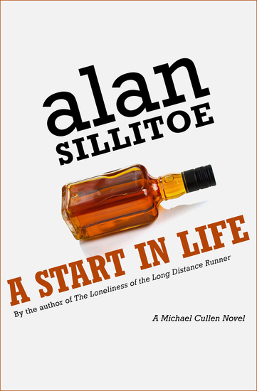 A Start in Life - A Novel - cover