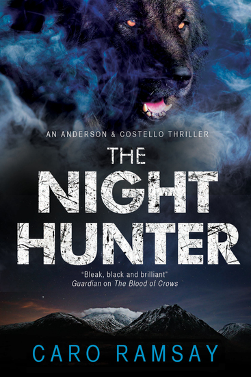 The Night Hunter: An Anderson & Costello police procedural set in Scotland - cover