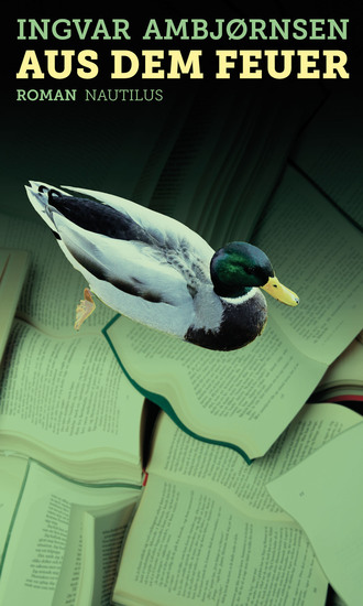 Aus dem Feuer - cover